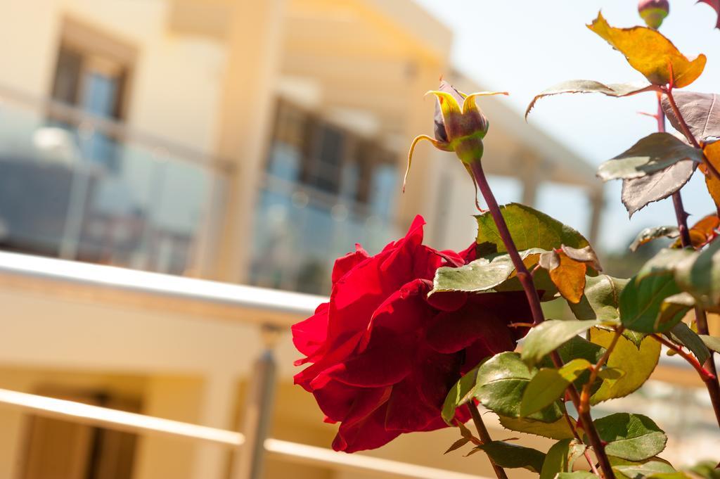 Villa Prigipessa Agia Marina Dış mekan fotoğraf